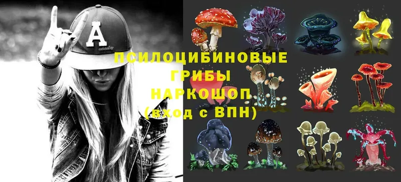 Галлюциногенные грибы MAGIC MUSHROOMS  даркнет сайт  Бокситогорск 